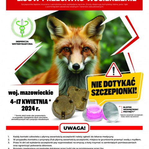 Powiększ obraz: Plakat akcja szczepienia lisów przeciwko wściekliźnie - wiosna 2024